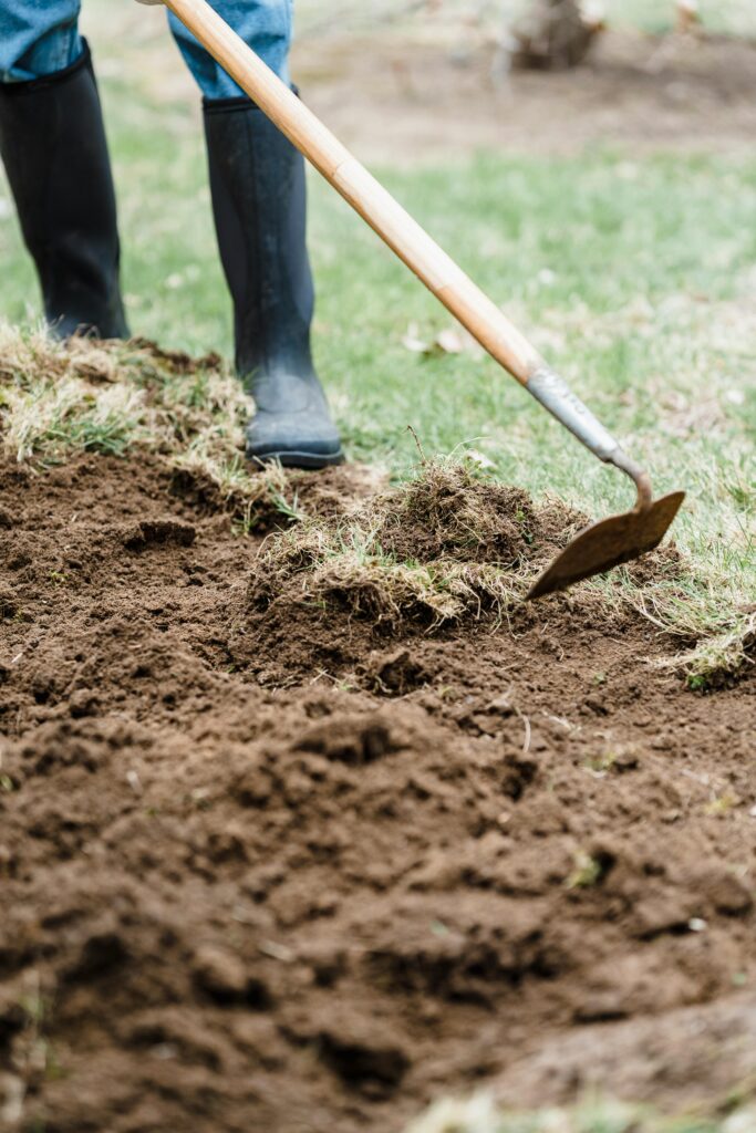 Clearing the Area Soil Preparation Methods, cleaning the area of planting