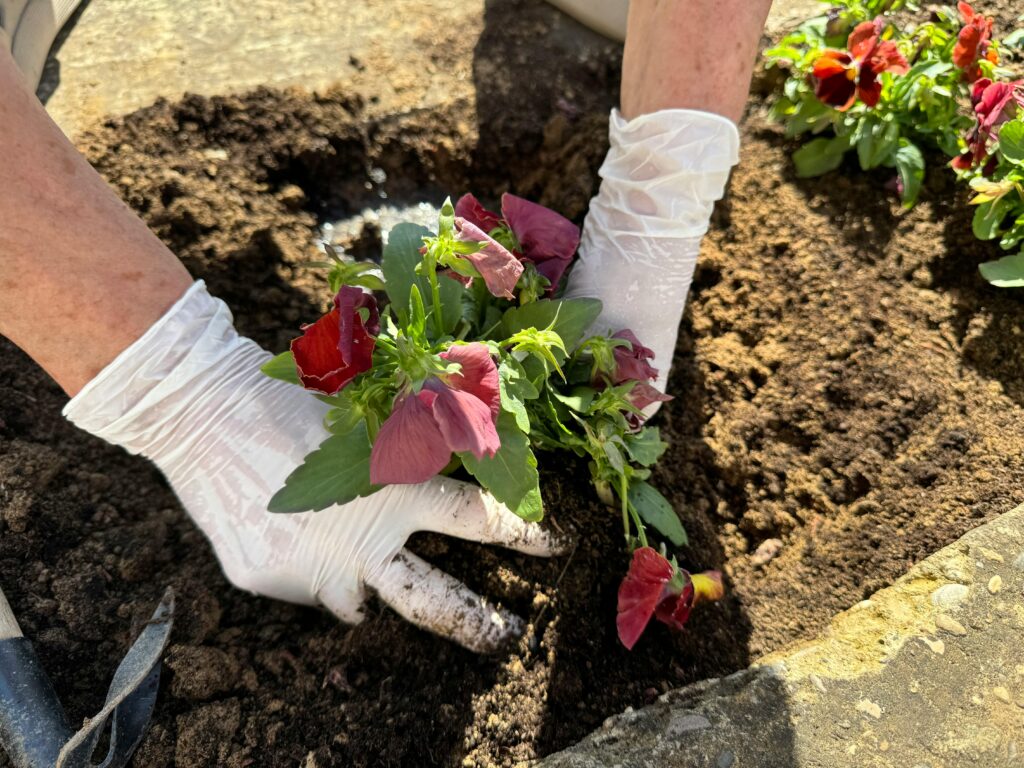 Soil Preparation Methods image flower plating